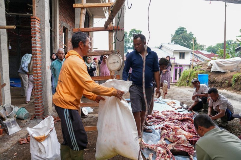 Proses pemotongan daging qurban dilaksanakan sesuai standar kesehatan dan syariah, setelah itu didistribusikan ke keluarga yang terdata dan membutuhkan.