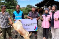 Karyawati Srikandi dan karyawan PLN NP UP Tenayan melaksanakan pemberian hewan qurban kepada warga sekitar Unit Pembangkitan Tenayan. Tak sekadar rutinitas tahunan, kegiatan qurban ini menjadi wujud nyata ibadah, rasa syukur, sekaligus jembatan untuk mempererat hubungan antara karyawan/ti perusahaan, masyarakat, dan para pemangku kepentingan.