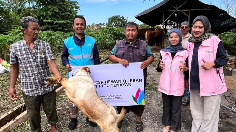 Karyawati Srikandi dan karyawan PLN NP UP Tenayan melaksanakan pemberian hewan qurban kepada warga sekitar Unit Pembangkitan Tenayan. Tak sekadar rutinitas tahunan, kegiatan qurban ini menjadi wujud nyata ibadah, rasa syukur, sekaligus jembatan untuk mempererat hubungan antara karyawan/ti perusahaan, masyarakat, dan para pemangku kepentingan.
