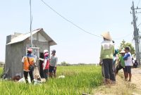 Salah satu petani di Desa Sukorejo, Ponorogo, Jawa Timur mendengarkan penjelasan dari Petugas PLN terkait penggunaan kWh meter untuk mengontrol listrik pompa air persawahan melalui program Electrifying Agriculture (EA). Dalam ajang Nusantara CSR Awards 2025, melalui Program EA yang telah dilaksanakan di seluruh Indonesia tersebut, PT PLN (Persero) berhasil meraih Penghargaan SDGs Khusus karena menjalankan CSR sesuai wilayah risiko operasional dan berdampak signifikan pada keberlanjutan.