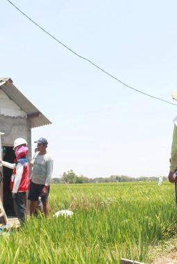 Raih 43 Penghargaan di Nusantara CSR Awards 2025, PLN Terima Predikat Platinum SDGs