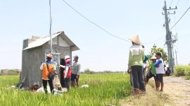 Salah satu petani di Desa Sukorejo, Ponorogo, Jawa Timur mendengarkan penjelasan dari Petugas PLN terkait penggunaan kWh meter untuk mengontrol listrik pompa air persawahan melalui program Electrifying Agriculture (EA). Dalam ajang Nusantara CSR Awards 2025, melalui Program EA yang telah dilaksanakan di seluruh Indonesia tersebut, PT PLN (Persero) berhasil meraih Penghargaan SDGs Khusus karena menjalankan CSR sesuai wilayah risiko operasional dan berdampak signifikan pada keberlanjutan.