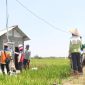 Salah satu petani di Desa Sukorejo, Ponorogo, Jawa Timur mendengarkan penjelasan dari Petugas PLN terkait penggunaan kWh meter untuk mengontrol listrik pompa air persawahan melalui program Electrifying Agriculture (EA). Dalam ajang Nusantara CSR Awards 2025, melalui Program EA yang telah dilaksanakan di seluruh Indonesia tersebut, PT PLN (Persero) berhasil meraih Penghargaan SDGs Khusus karena menjalankan CSR sesuai wilayah risiko operasional dan berdampak signifikan pada keberlanjutan.