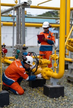 PLN EPI dan Pelindo Multi Terminal Jalin Kerja Sama Pengembangan Infrastruktur Gas dan BBM