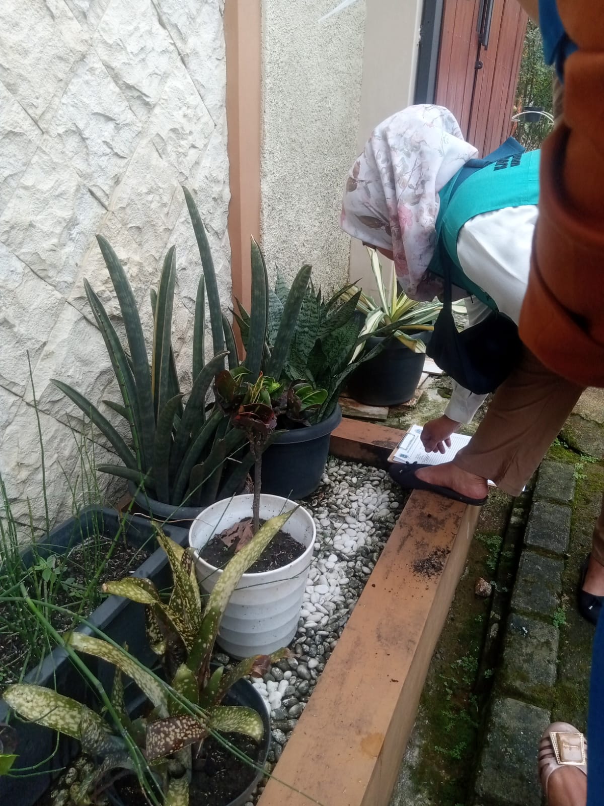 Pemeriksaan Jentik Disalah Satu Rumah Warga