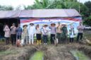 Forkopomda Brebes melaksanakan Penanaman jagung serentak di lahan sawah Wangdalem, Brebes, Sabtu (7/3). Foto: ist