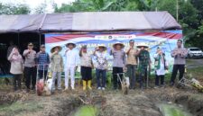 Forkopomda Brebes melaksanakan Penanaman jagung serentak di lahan sawah Wangdalem, Brebes, Sabtu (7/3). Foto: ist