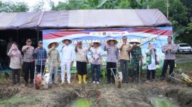 Forkopomda Brebes melaksanakan Penanaman jagung serentak di lahan sawah Wangdalem, Brebes, Sabtu (7/3). Foto: ist