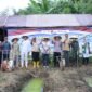Forkopomda Brebes melaksanakan Penanaman jagung serentak di lahan sawah Wangdalem, Brebes, Sabtu (7/3). Foto: ist
