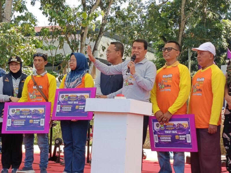 0-3968x2976-0-0-{}-0-24#