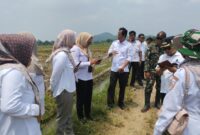 tim gabungan dari unsur TNI dan Pemerintah Kabupaten Brebes melaksanakan survei lapangan rencana lokasi TNI Manunggal Membangun Desa (TMMD) Sengkuyung Tahun Anggaran 2027 di Desa Parereja, Kecamatan Banjarharjo, Rabu (01/04). Foto: ist