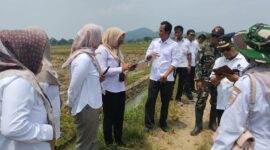tim gabungan dari unsur TNI dan Pemerintah Kabupaten Brebes melaksanakan survei lapangan rencana lokasi TNI Manunggal Membangun Desa (TMMD) Sengkuyung Tahun Anggaran 2027 di Desa Parereja, Kecamatan Banjarharjo, Rabu (01/04). Foto: ist