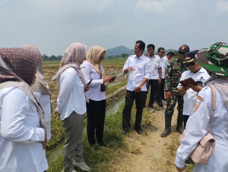 tim gabungan dari unsur TNI dan Pemerintah Kabupaten Brebes melaksanakan survei lapangan rencana lokasi TNI Manunggal Membangun Desa (TMMD) Sengkuyung Tahun Anggaran 2027 di Desa Parereja, Kecamatan Banjarharjo, Rabu (01/04). Foto: ist