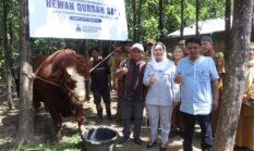 berita-pilihan-foto