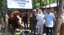 Bupati Paramitha Widya Kusuma menyerahkan sapi limosin bernama Rambo berbobot 1,2 ton, hewan kurban Presiden Prabowo, kepada warga Desa Buara, Kecamatan Ketanggungan. Foto: Ist