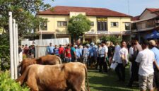 Hari raya Idul Adha Polres Brebes kurban Tujuh ekor sapi kurban bertempat di halaman Polres Brebes. Foto: ist