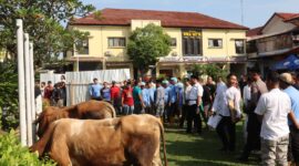 Hari raya Idul Adha Polres Brebes kurban Tujuh ekor sapi kurban bertempat di halaman Polres Brebes. Foto: ist