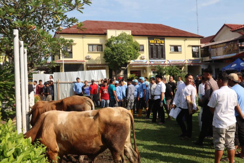 Hari raya Idul Adha Polres Brebes kurban Tujuh ekor sapi kurban bertempat di halaman Polres Brebes. Foto: ist