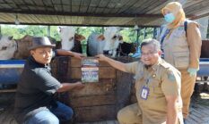 berita-pilihan-foto