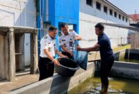 Petugas Lapas Brebes bersama warga binaan sedang memanen lele hasil budidaya warga binaan. Foto: ist

 

 