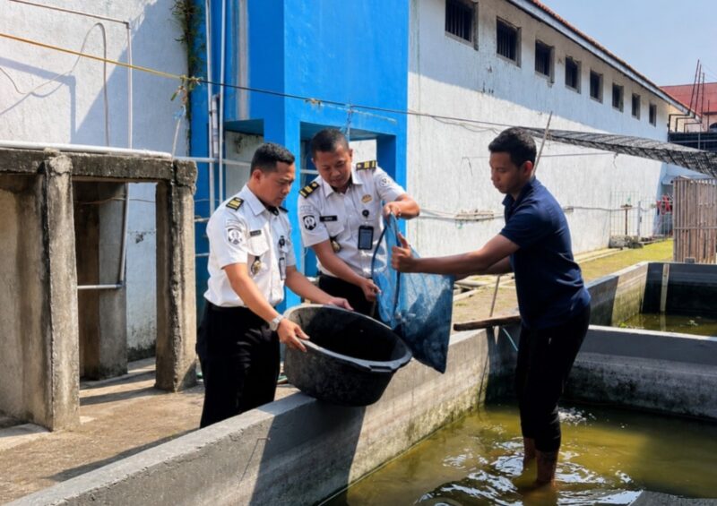 Petugas Lapas Brebes bersama warga binaan sedang memanen lele hasil budidaya warga binaan. Foto: ist

 

 
