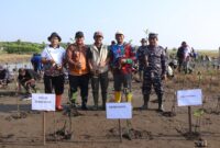 Penanaman ribuan pohon mangrove di desa randusanga, Brebes. Foto:ist
