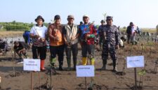 Penanaman ribuan pohon mangrove di desa randusanga, Brebes. Foto:ist