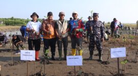 Penanaman ribuan pohon mangrove di desa randusanga, Brebes. Foto:ist