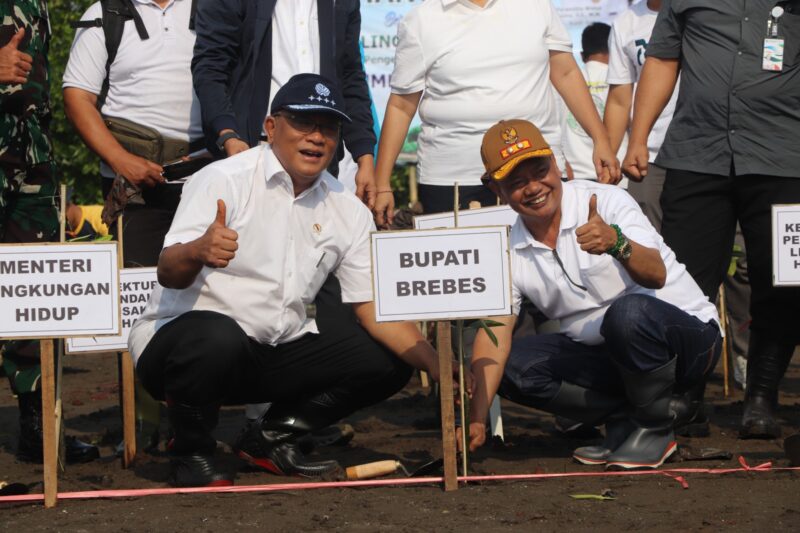 Menteri Lingkungan Hidup Republik Indonesia Mohammad Jumhur Hidayat mempimpin penanaman mangrove di pesisir Desa Randusanga Kulon, Kecamatan Brebes, Jumat (3/7/2026).