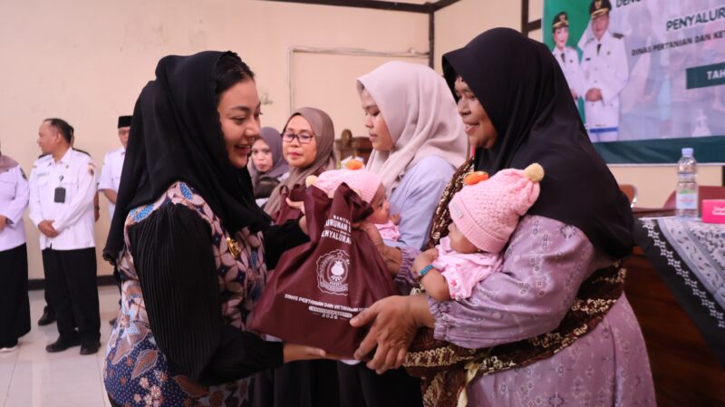 Bupati Brebes Paramitha Widya Kusuma menyerahkan secara langsung Bantuan Penurunan Stunting dan Cadangan Pangan Pemerintah Daerah (CPPD) kepada keluarga penerima manfaat di Balai Desa Wanatirta. Foto:ist