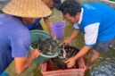 Warga Binaan Lapas Brebes panen lele program kemandirian. Foto: ist
