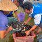 Warga Binaan Lapas Brebes panen lele program kemandirian. Foto: ist