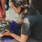 Sebanyak 220 Kg hasil Budidaya ikan lele warga binaan Lapas Brebes berhasil dipanen. Foto: ist.